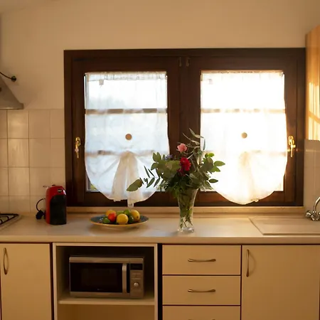 Tatil Evi Blick