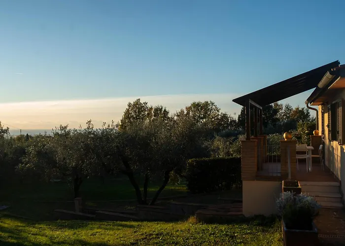 Blick Guardistallo